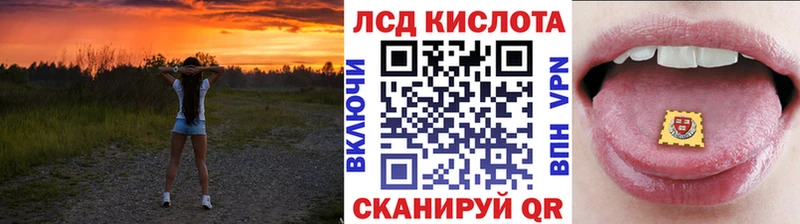 Марки N-bome 1500мкг  Аркадак 